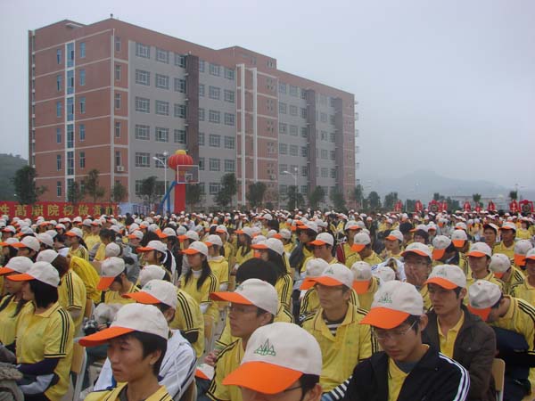 2025年新澳门原料免费