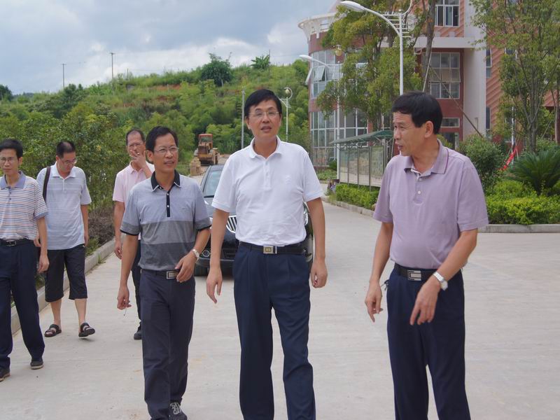 2025年新澳门原料免费