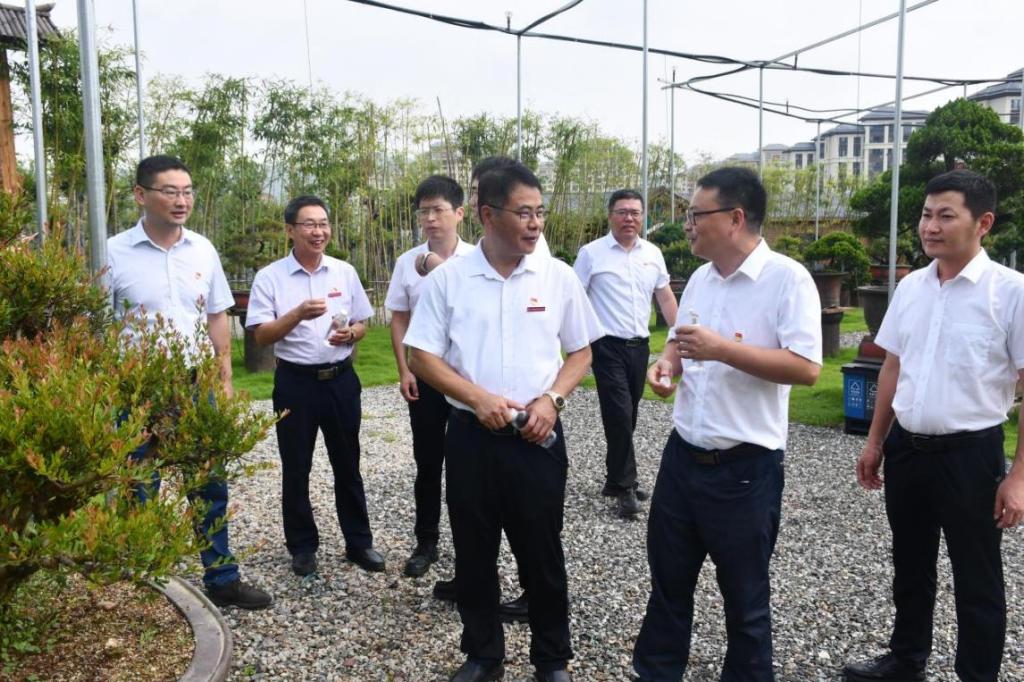 2025年新澳门原料免费