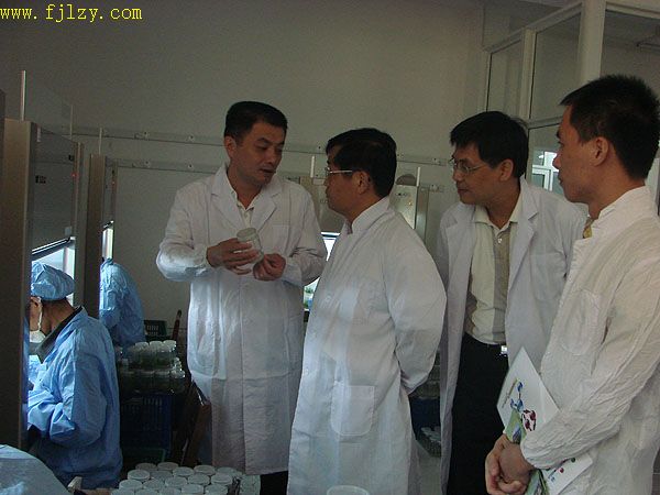 2025年新澳门原料免费