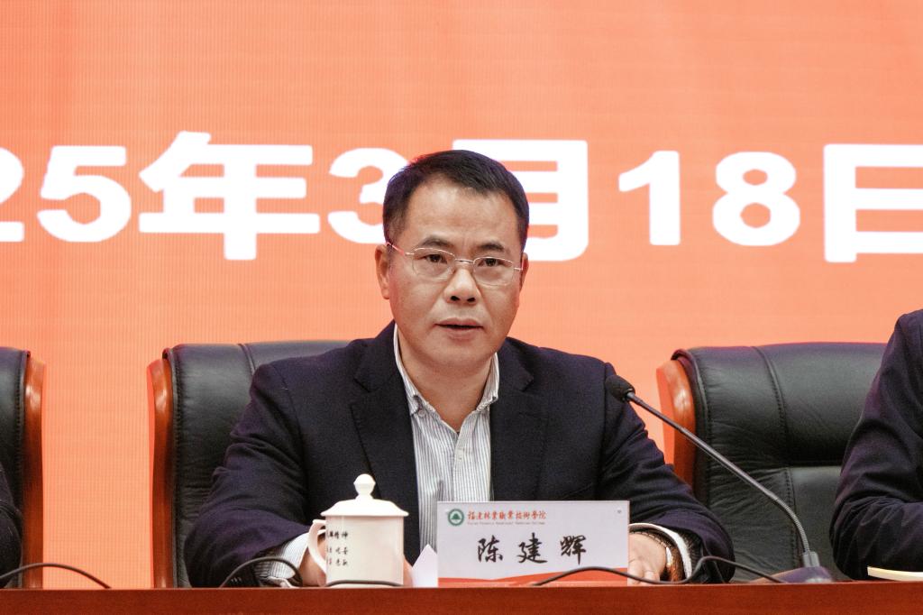 2025年新澳门原料免费