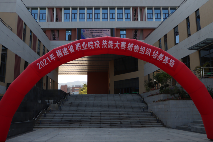 2025年新澳门原料免费