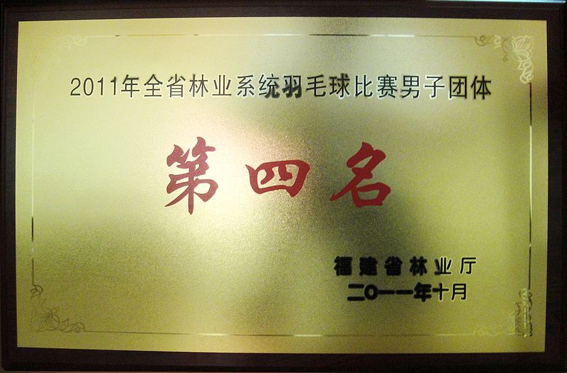 2025年新澳门原料免费