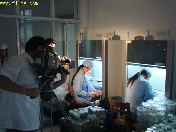 2025年新澳门原料免费