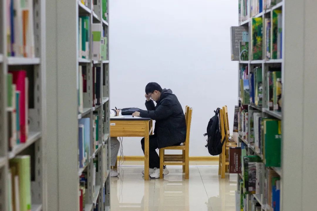 2025年新澳门原料免费 2025年新澳门原料免费