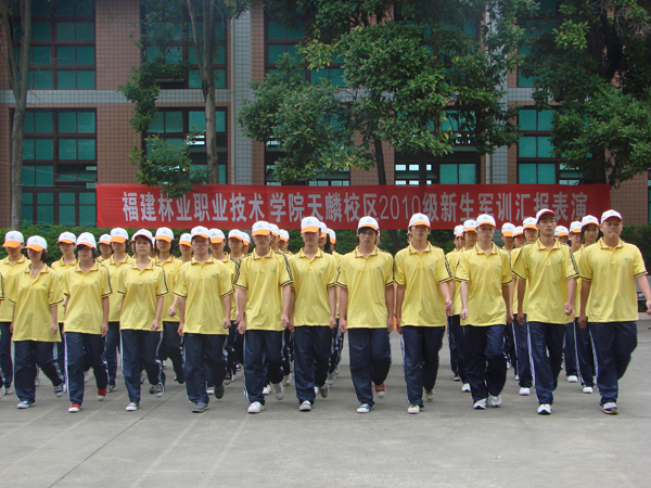2025年新澳门原料免费