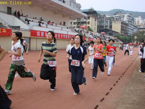 2025年新澳门原料免费