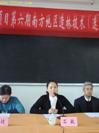 2025年新澳门原料免费