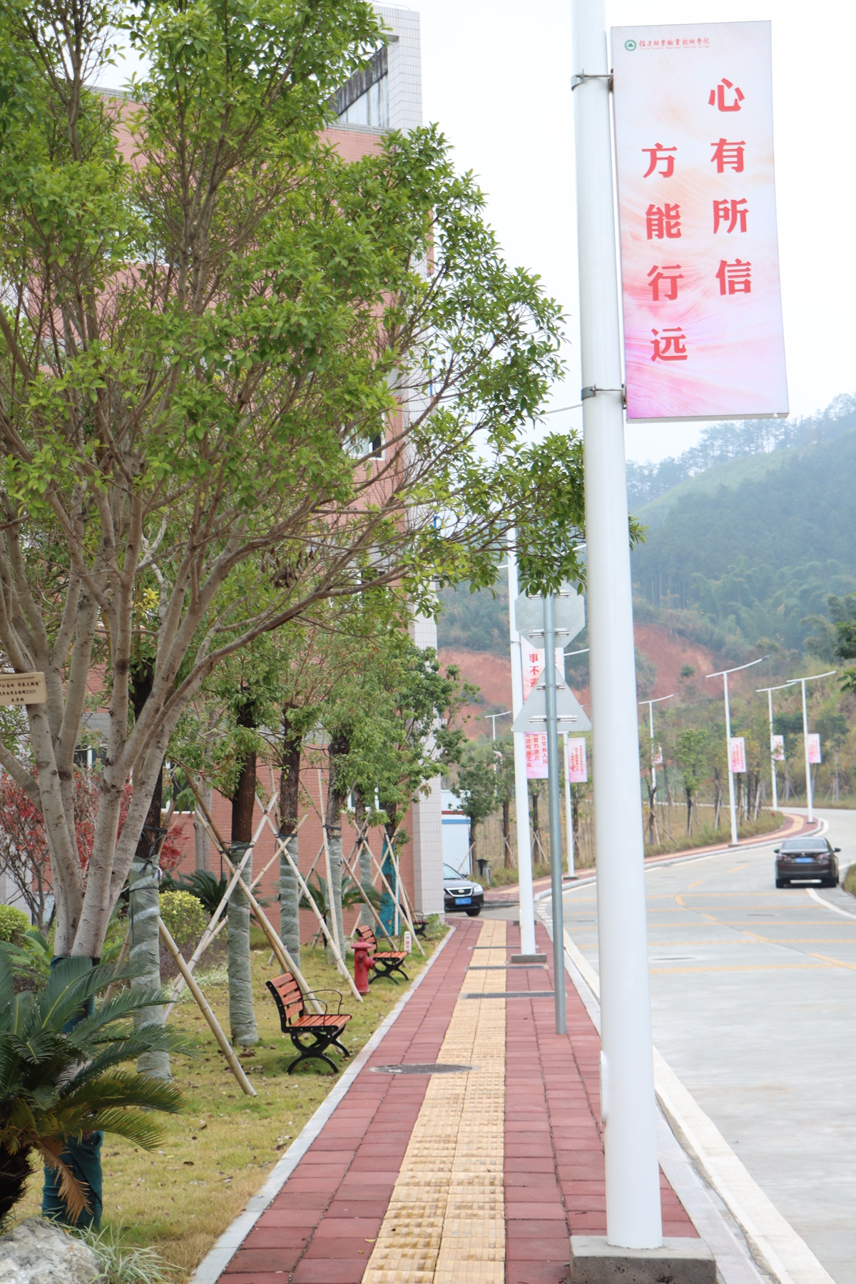 2025年新澳门原料免费