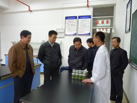 2025年新澳门原料免费