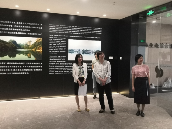2025年新澳门原料免费