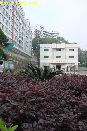 2025年新澳门原料免费
