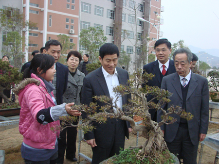 2025年新澳门原料免费