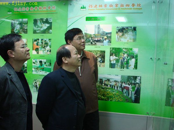 2025年新澳门原料免费