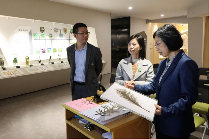 2025年新澳门原料免费