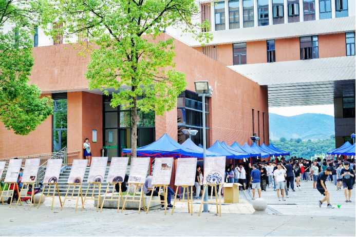 2025年新澳门原料免费