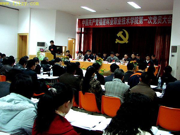 2025年新澳门原料免费