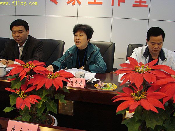 2025年新澳门原料免费