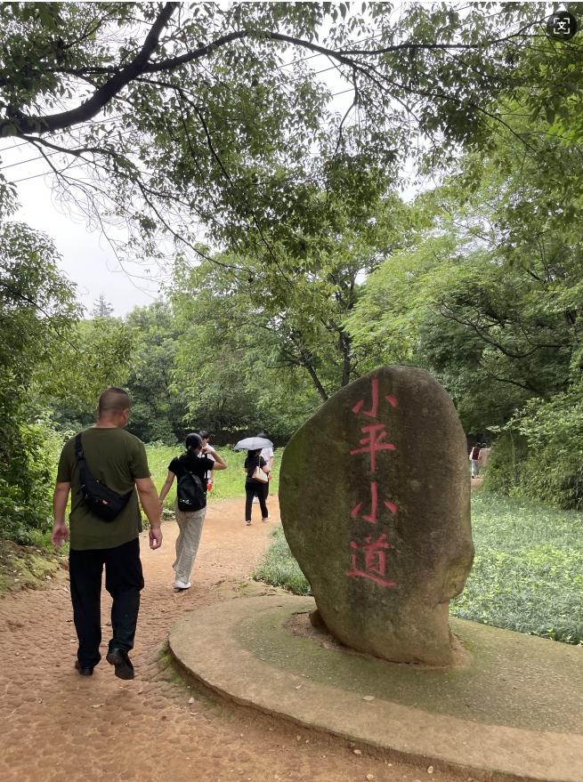 2025年新澳门原料免费