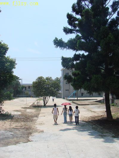 2025年新澳门原料免费