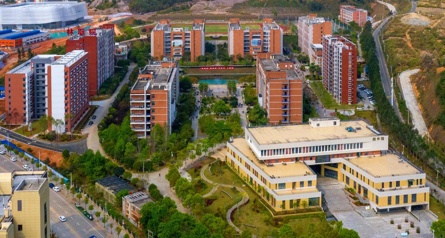 2025年新澳门原料免费